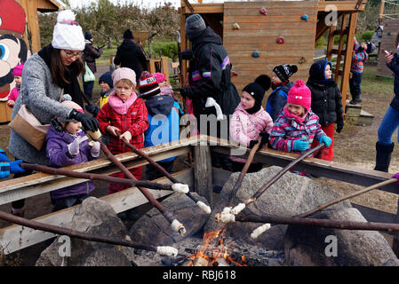 Children cooking bannock campfire bread on sticks over an open fire Stock Photo