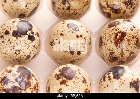 Several quail eggs in plastic packaging close-up Stock Photo