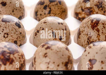 Several quail eggs in plastic packaging close-up Stock Photo