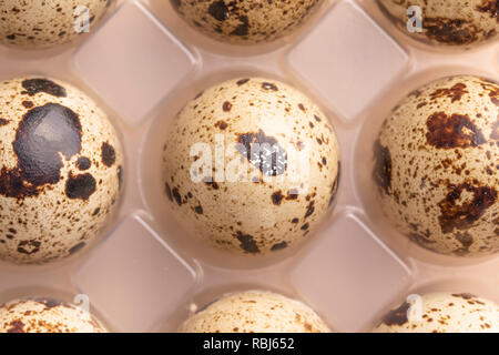 Several quail eggs in plastic packaging close-up Stock Photo