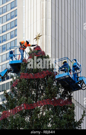 Workers putting the star on the Christmas tree in Nathan Phillips Square, Toronto, Canada Stock Photo