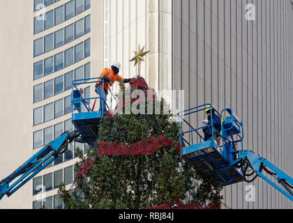 Workers putting the star on the Christmas tree in Nathan Phillips Square, Toronto, Canada Stock Photo