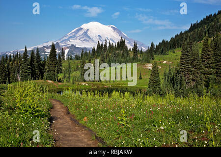 WA15755-00...WASHINGTON - Naches Peak Loop Trail and Mount Rainier in Mount Rainier National Park. Stock Photo