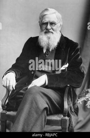 Alfred Russel Wallace, circa 1895. Alfred Russel Wallace OM FRS was a British naturalist, explorer, geographer, anthropologist, and biologist. Stock Photo