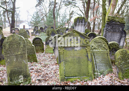 Old jewish cemetery, matzevah, gravestones in winter. Piotrkow Trybunalski - City of the first jewish ghetto established by nazi Germans in Poland. Stock Photo