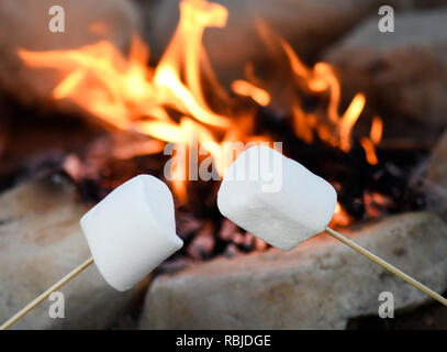 roasting marshmallows over a campfire , shot for copy space  focus on foreground , blurred background for text overlay Stock Photo