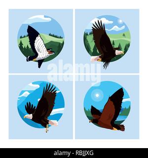 hawks and eagles birds in the landscape vector illustration design Stock Vector