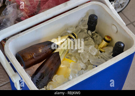 beers in an esky with ice / cooler / cool box / yeti Stock Photo