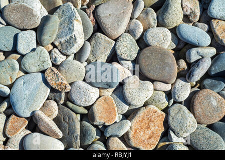 Pebbles on a shingle beach / rocky beach / pebble beach in Normandy, France Stock Photo