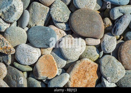 Pebbles on a shingle beach / rocky beach / pebble beach in Normandy, France Stock Photo