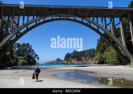 A scuba diver returns from a dive at Russian Gulch State Park in Mendocino County, California. Stock Photo