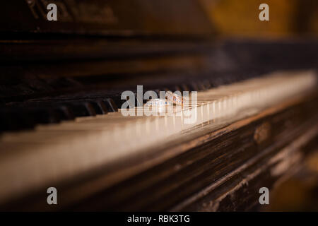 Close-up of a pair of wedding rings on the keys of an old piano Stock Photo