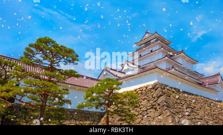 Aizuwakamatsu Castle and cherry blossom in Fukushima, Japan Aizuwakamatsu , Japan - April 21 2018: Aizu-Wakamatsu Castle and cherry blossom built by A Stock Photo