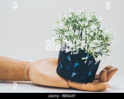Unique black geometric planters with white flowers on wooden hand on white background. Modern beautiful painted concrete planters. Home and garden dec Stock Photo
