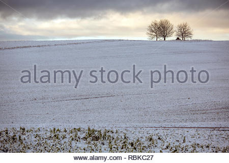Light snow in fields near Coburg n Franconia, Germany. Stock Photo