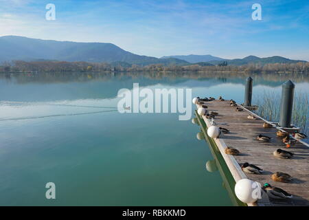 Peaceful view of Banyoles lake with ducks resting on a floating dock, Province of Girona, Catalonia, Spain Stock Photo
