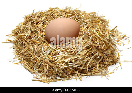 Chicken egg on straw, isolated on white background Stock Photo