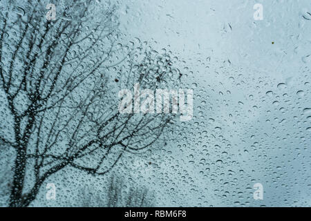 Tree shape as seen through the raindrops on the windshield; selective focus on the tree Stock Photo