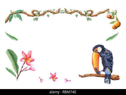 Hand drawn watercolor toucan sitting on a tree branch, mandarin fruits, plumeria flowers and buds, lianas. For greeting, invitation card, design. Stock Photo