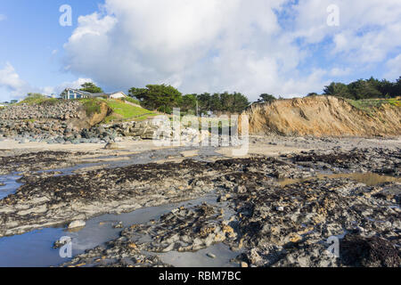 Creek flowing in to the Pacific Ocean at low tide, Moss Beach, Fitzgerald Marine Reserve, California Stock Photo