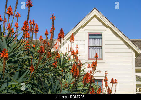 Historical ranch building and aloe flowers, Wilder Ranch State Park, California Stock Photo