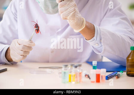 Male entomologist working in the lab on new species Stock Photo