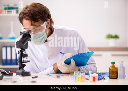 Male entomologist working in the lab on new species Stock Photo