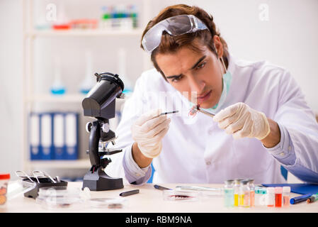 Male entomologist working in the lab on new species Stock Photo