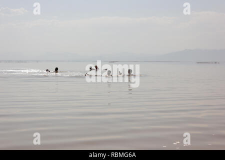 People are swimming in the salt Urmia Lake, West Azerbaijan province, Iran Stock Photo