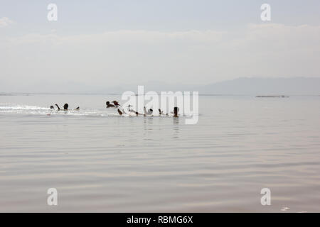 People are swimming in the salt Urmia Lake, West Azerbaijan province, Iran Stock Photo