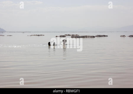 People are swimming in the salt Urmia Lake, West Azerbaijan province, Iran Stock Photo