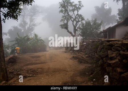 mist in village, Araku, Andhra Pradesh, India, Asia Stock Photo