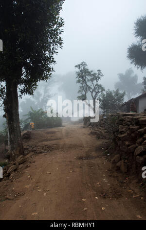 mist in village, Araku, Andhra Pradesh, India, Asia Stock Photo