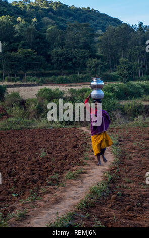 Woman balancing water pots, Araku, Andhra Pradesh, India, Asia Stock Photo