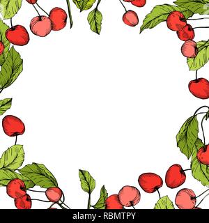 Vector Cherry fruits on white background. Green leaf. Red and green engraved ink art. Frame border ornament square. Stock Vector