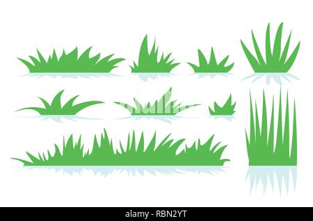 Vector of a green grass isolted on white background. Stock Vector