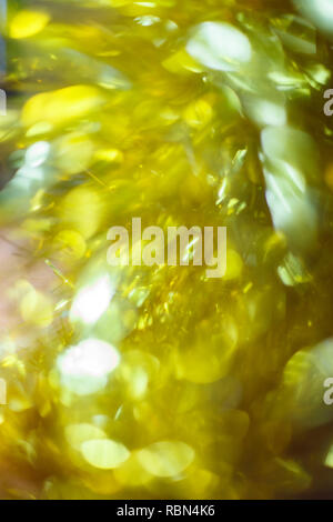 Elegant gold white glitter sparkle confetti background for golden happy birthday party invite Stock Photo