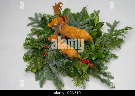 A circle of branches of different fir varieties. Green and blue Nordmann fir branches, coniferous branches and holly (Ilex) lie on white paper backgro Stock Photo