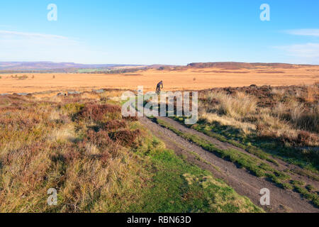 On a bright autumn morning in the Derbyshire Peak district a distant cyclist rides down a winding path. Stock Photo