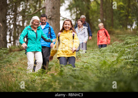 Multi generation family walking downhill on a trail in a forest during a camping holiday, Lake District, UK Stock Photo