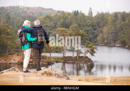 Senior couple standing embracing and admiring the view of a lake, back view Stock Photo