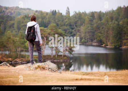 Young adult woman standing on a rock admiring the view of a lake, back view, Lake District, UK Stock Photo