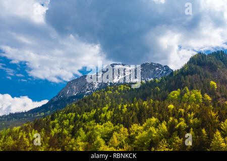 Lovely panoramic tree top view of the forest and the snow-capped mountain tops of the Alps in the background near the mountain stream Pöllat in... Stock Photo