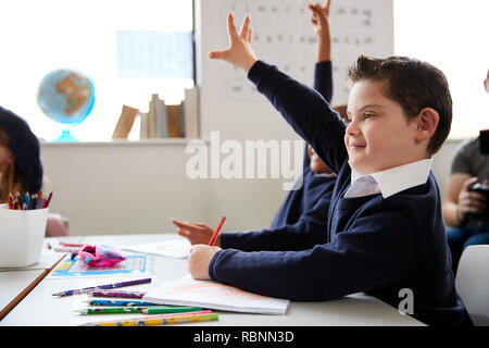 Schoolboy with Down syndrome sitting at a desk raising his hand in a primary school class, close up, side view Stock Photo