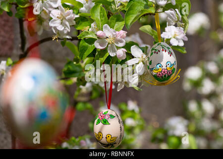 Easter egss hanging on the twig of apple tree in the garden Stock Photo