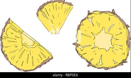 Sliced pineapple isolated on white background. Top view. Flat lay pattern Stock Vector