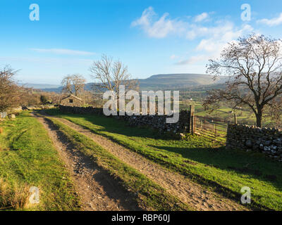View along Side Road near Thoralby in Bishopdale with Pen Hill visible across the valley Yorkshire Dales England Stock Photo