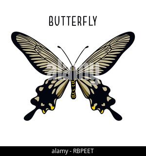 Monochrome black butterfly. Graphic icon of butterfly. Black silhouette of butterfly. Butterfly isolated on white background Stock Vector