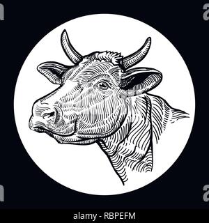 Cows head. Hand drawn sketch in a graphic style. Vintage vector ...