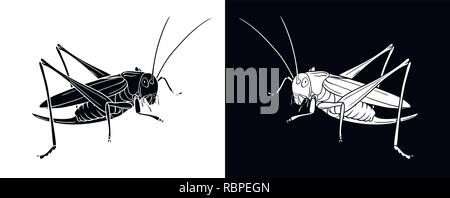 Grasshopper. Insect with flat design and line art black and white version. Silhouette of grasshopper Stock Vector